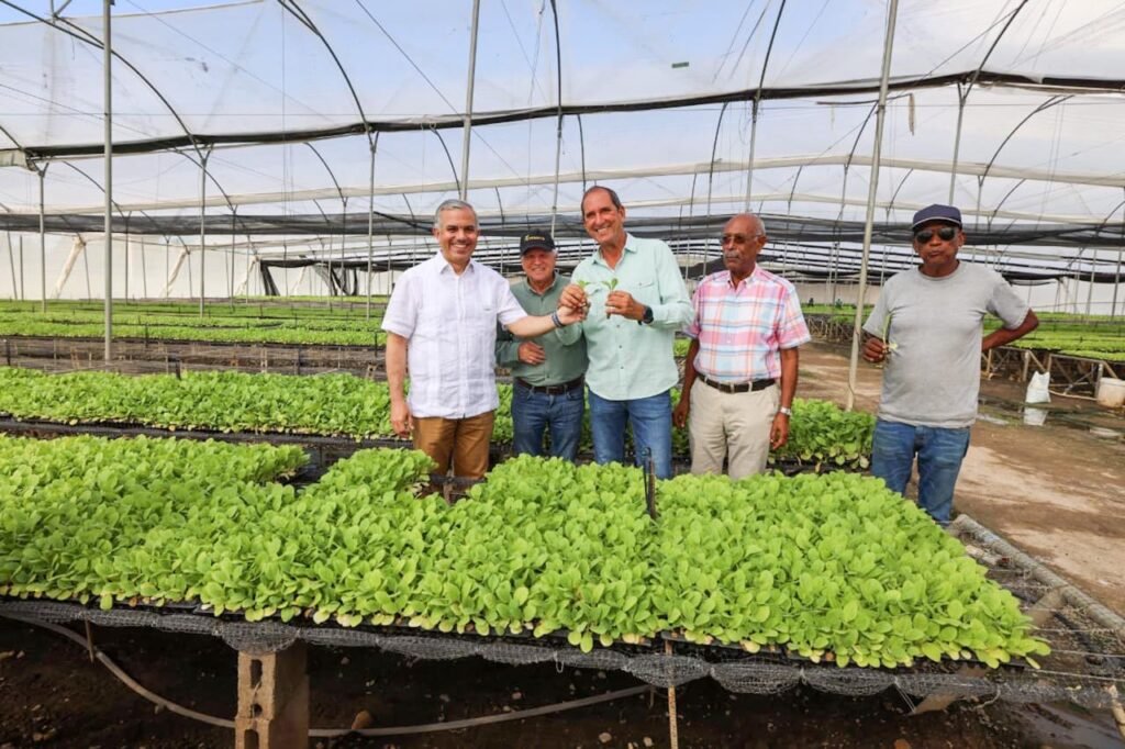 Intabaco proyecta producir 15 millones de plantas de tabaco para la zafra 2025-2026 – El Nuevo Diario (República Dominicana) Intabaco proyecta producir 15 millones de plantas de tabaco para la zafra 2025-2026 – El Nuevo Diario (República Dominicana)