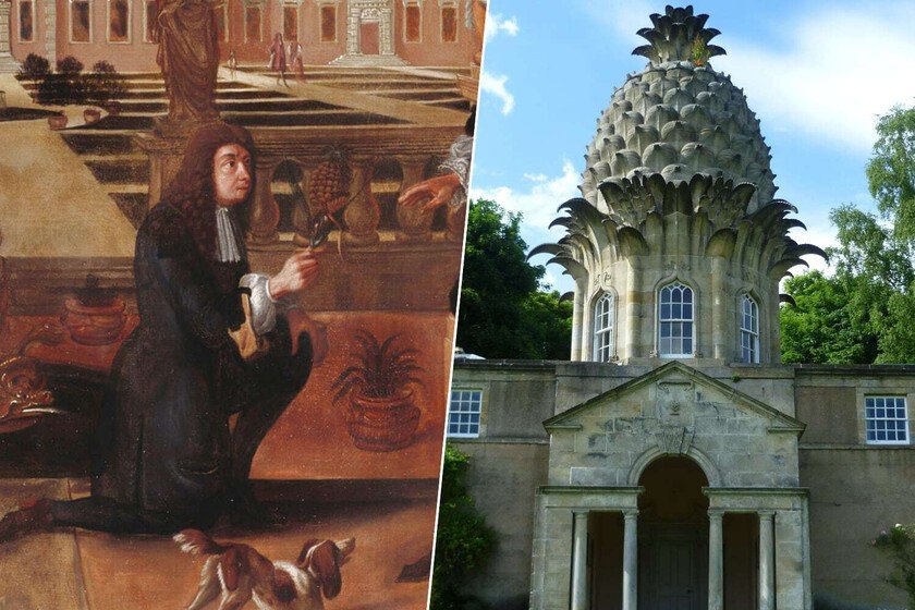 Colón introdujo la piña en Europa en 1496. 200 años más tarde los ...