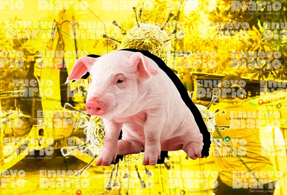 Investigarán a cinco laboratorios por la posible fuga del virus de la peste porcina en España – El Nuevo Diario (República Dominicana) Investigarán a cinco laboratorios por la posible fuga del virus de la peste porcina en España – El Nuevo Diario (República Dominicana)